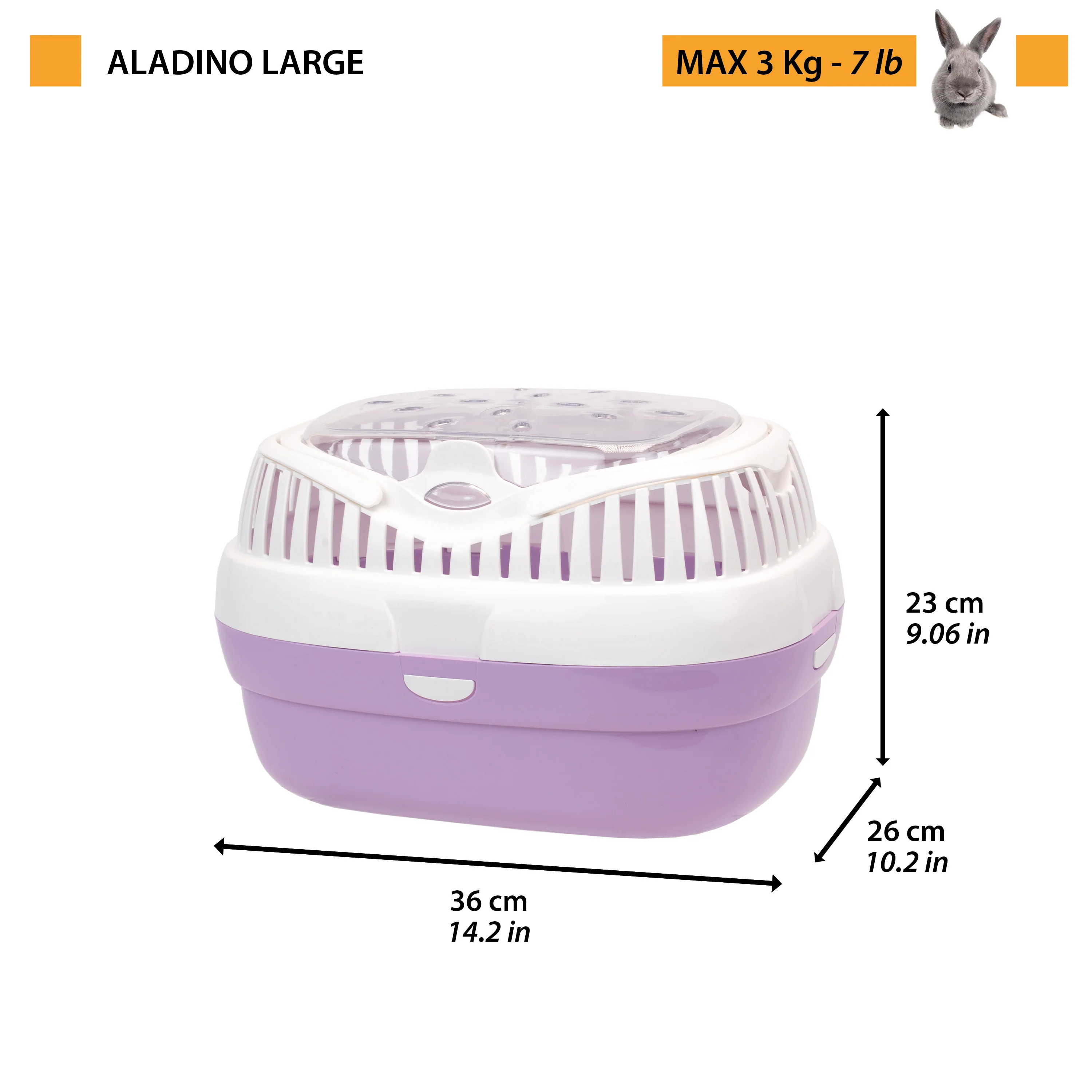ALADINO LARGE - Image 2