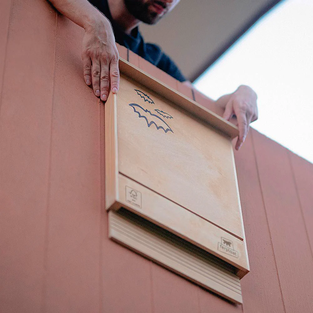 BAT HOUSE - Image 5