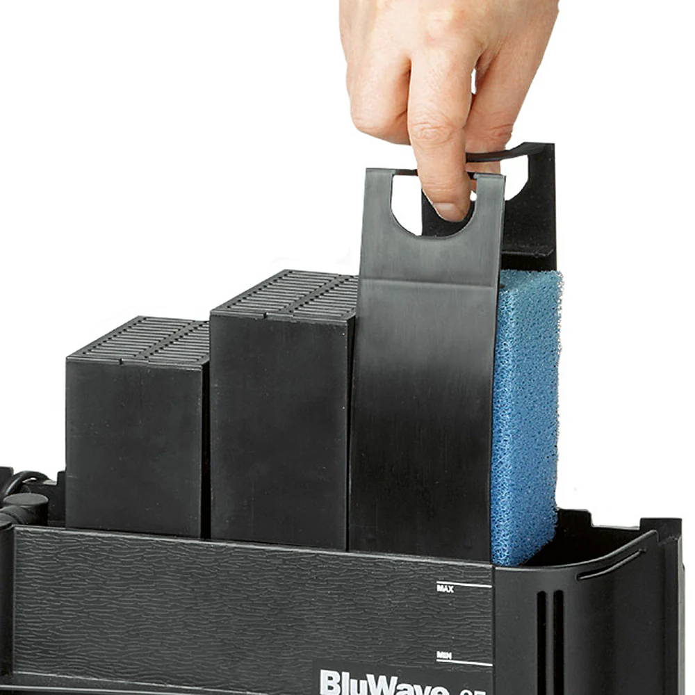 BLUWAVE 03 - Image 5