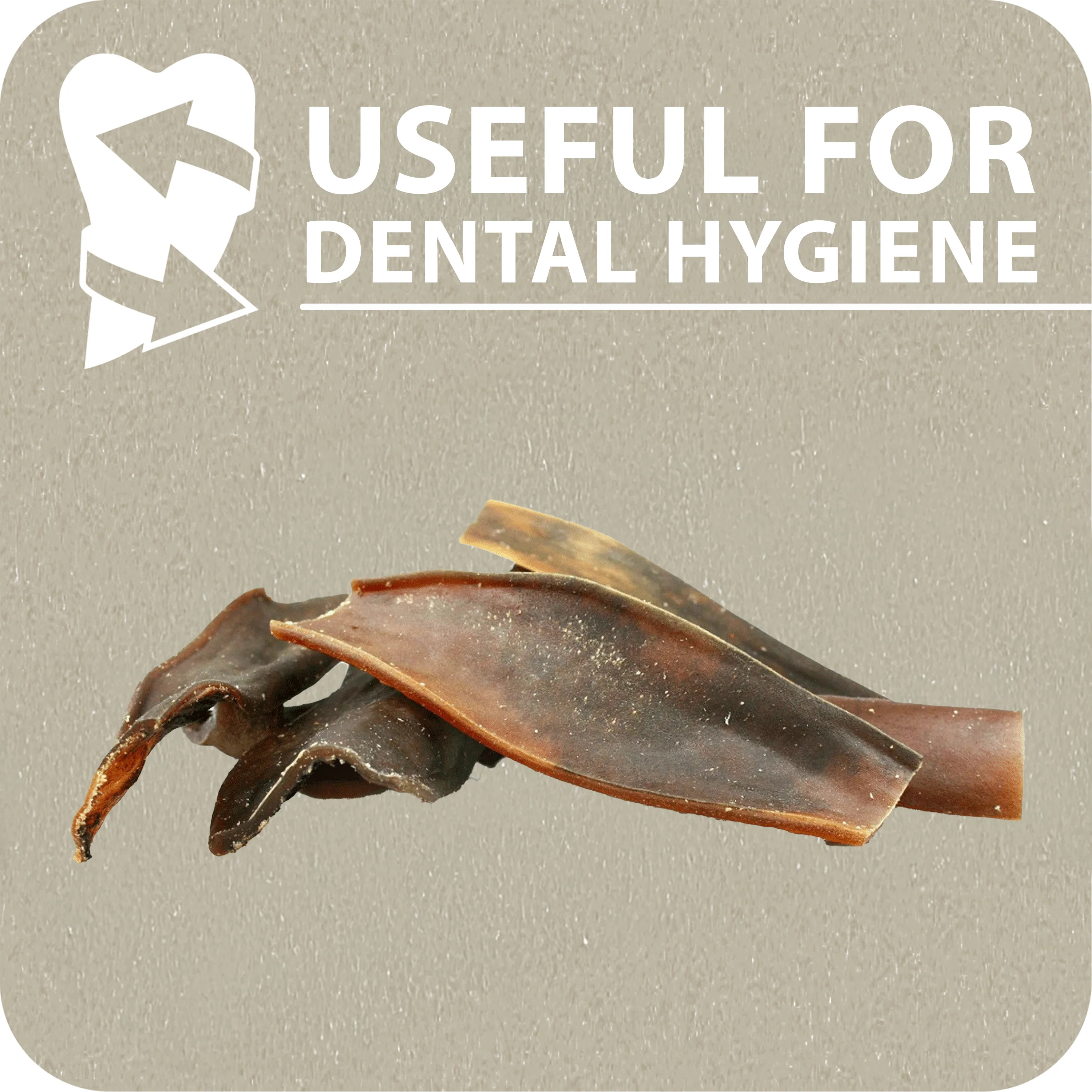 CAMEL SKIN - Image 5