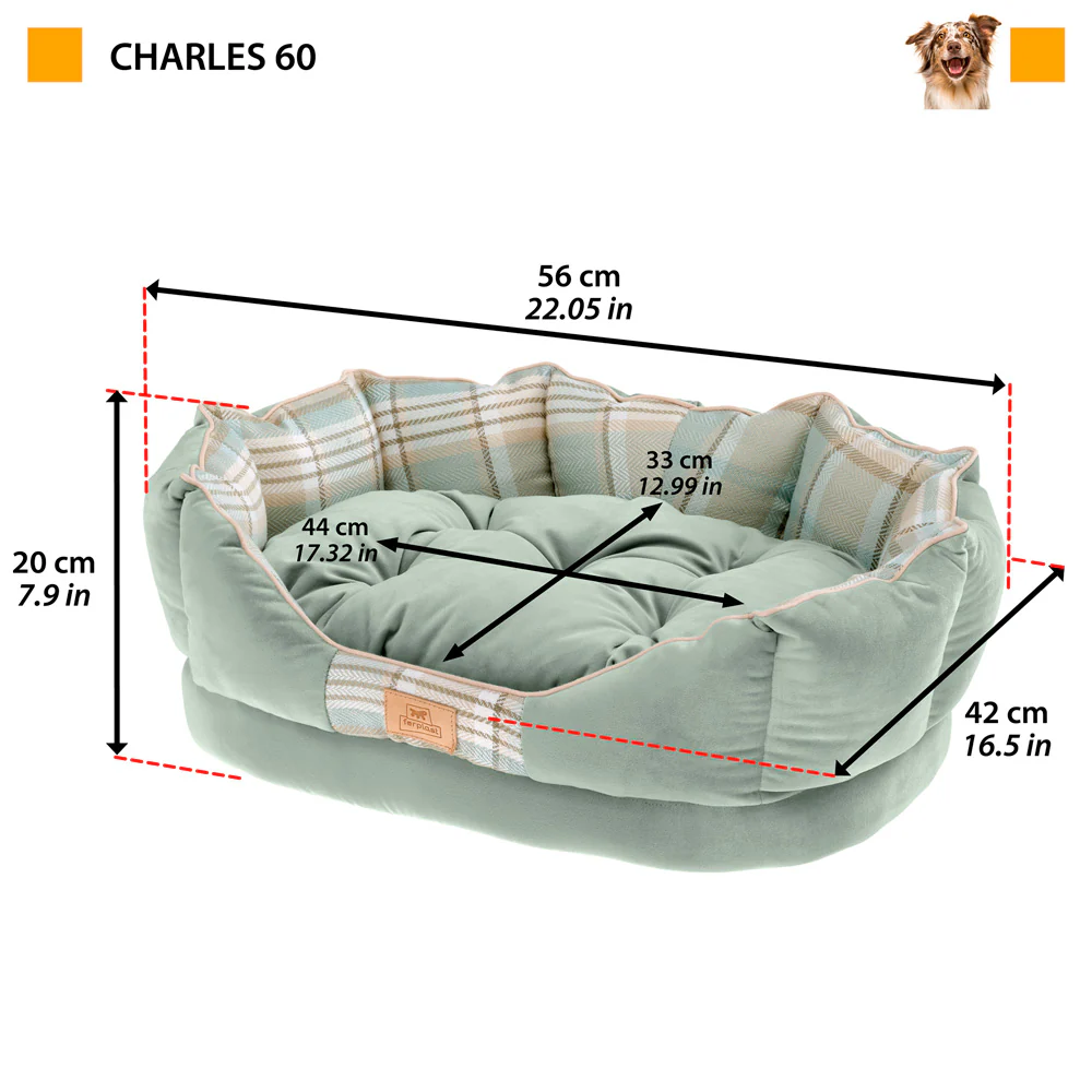 CHARLES - Image 6