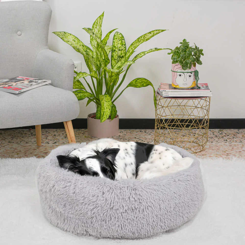 CUDDLY - Image 20