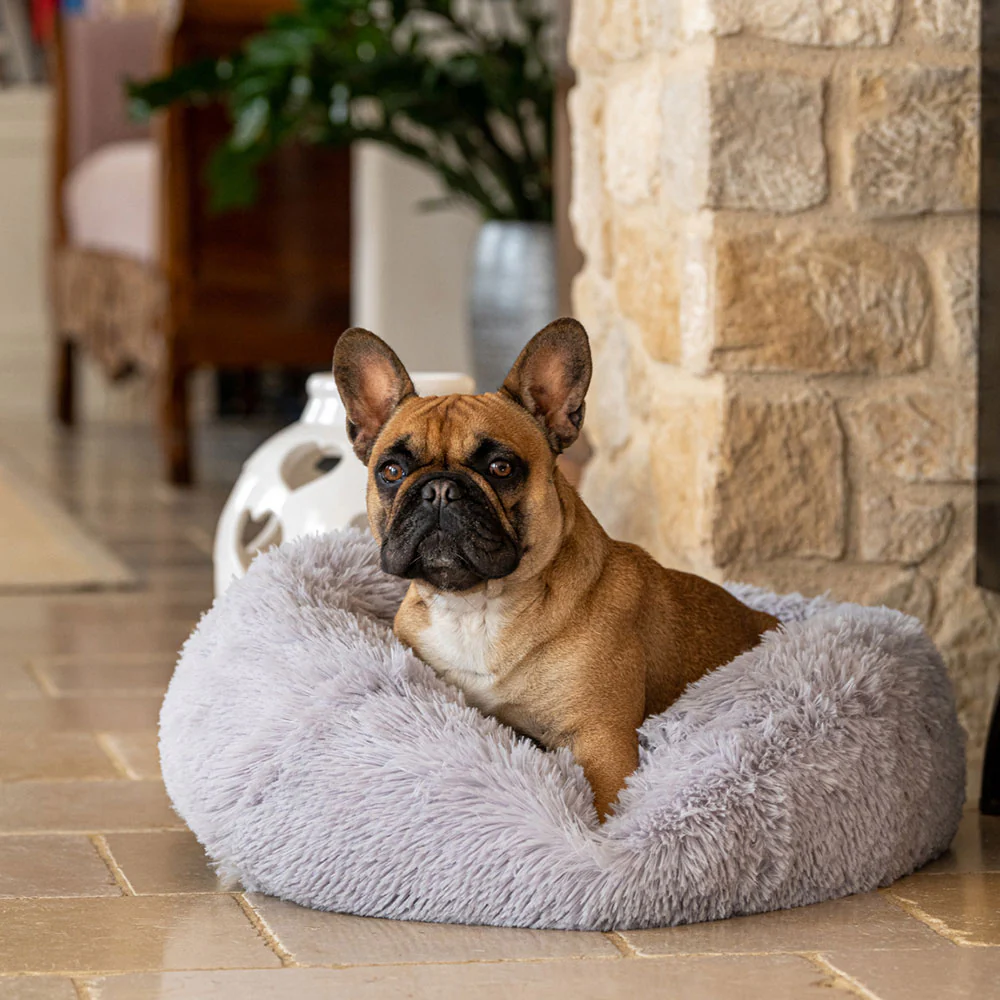 CUDDLY - Image 3