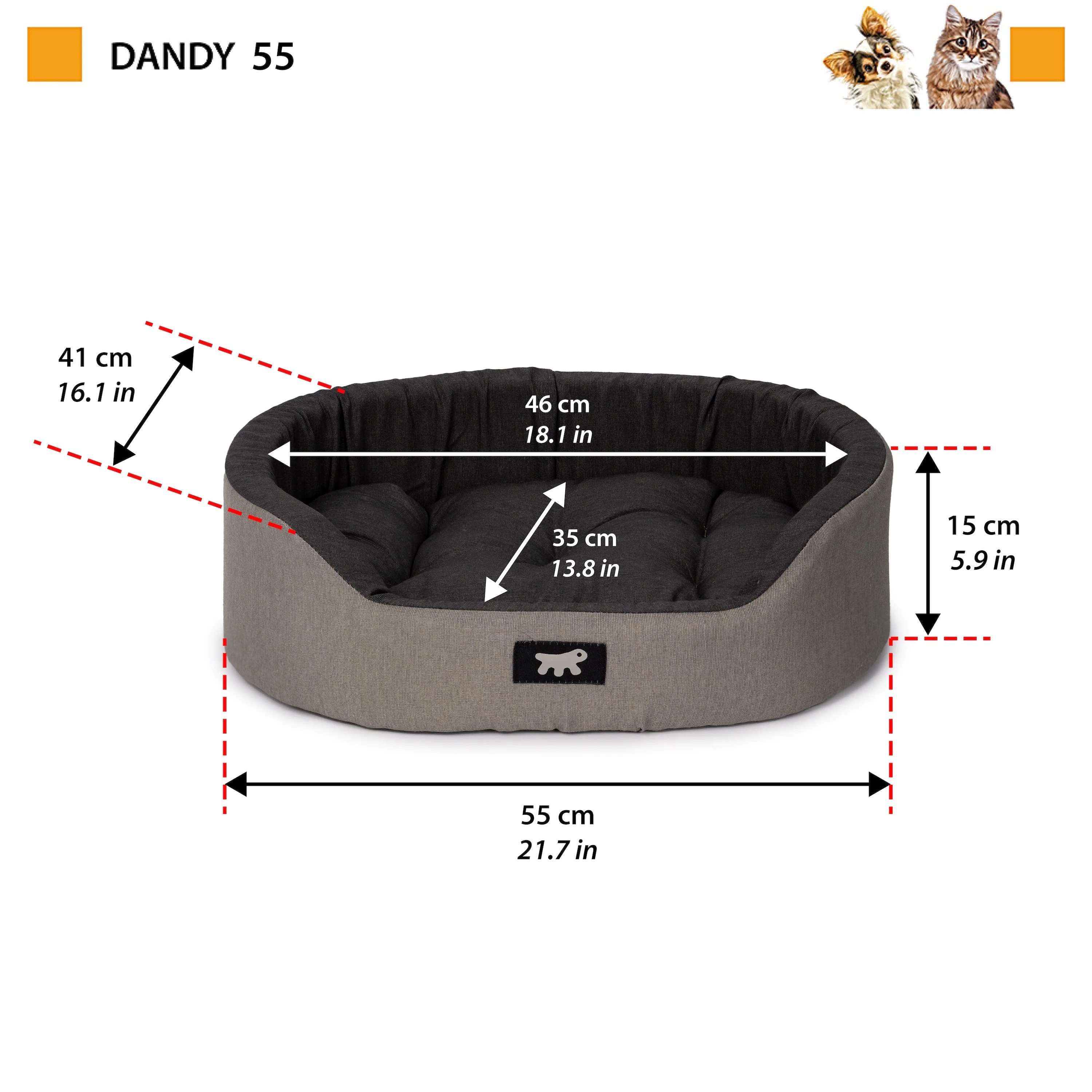 DANDY C COLOUR - Image 16