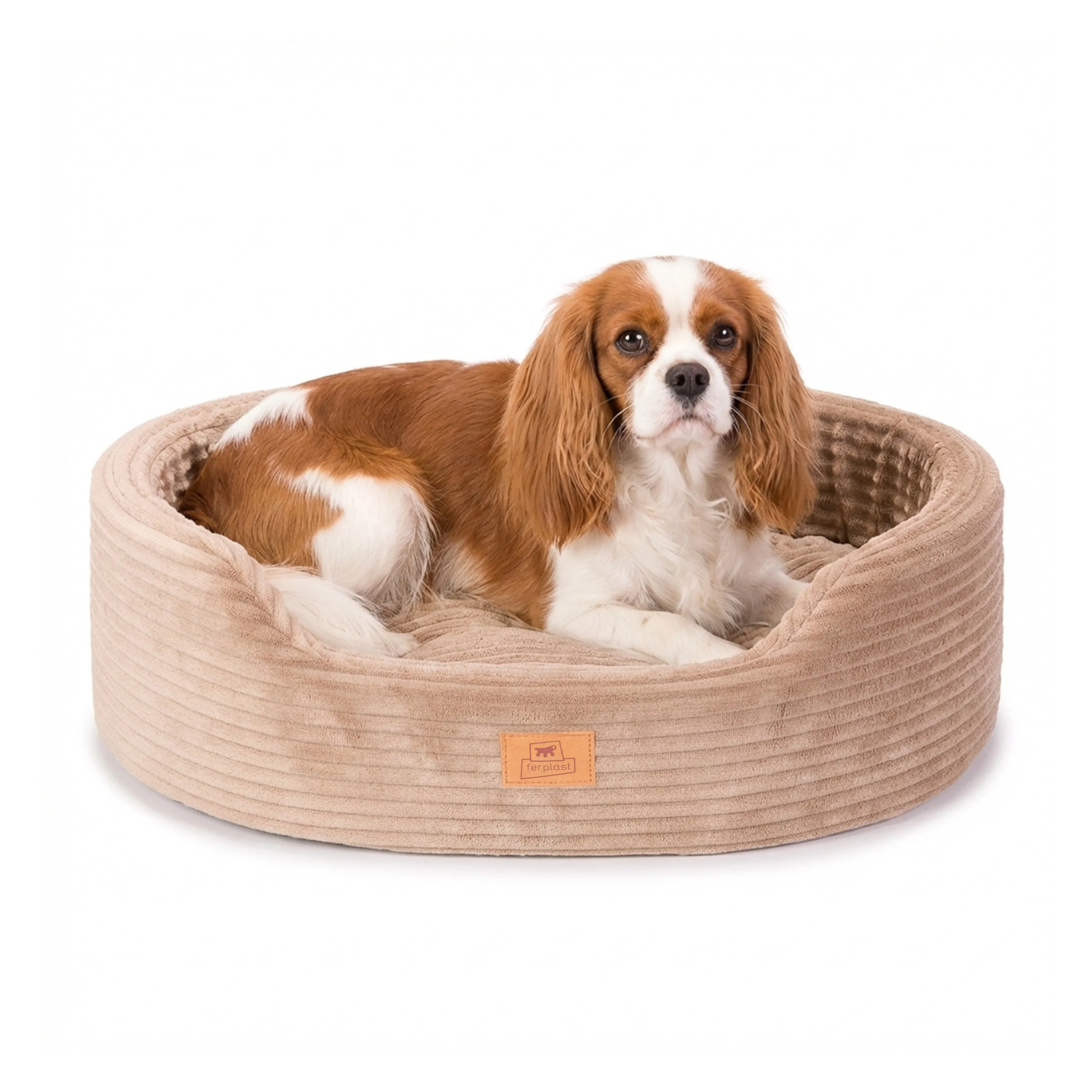 DANDY CORDUROY Sofa-style bed with removable cushion for dogs and cats - Image 3