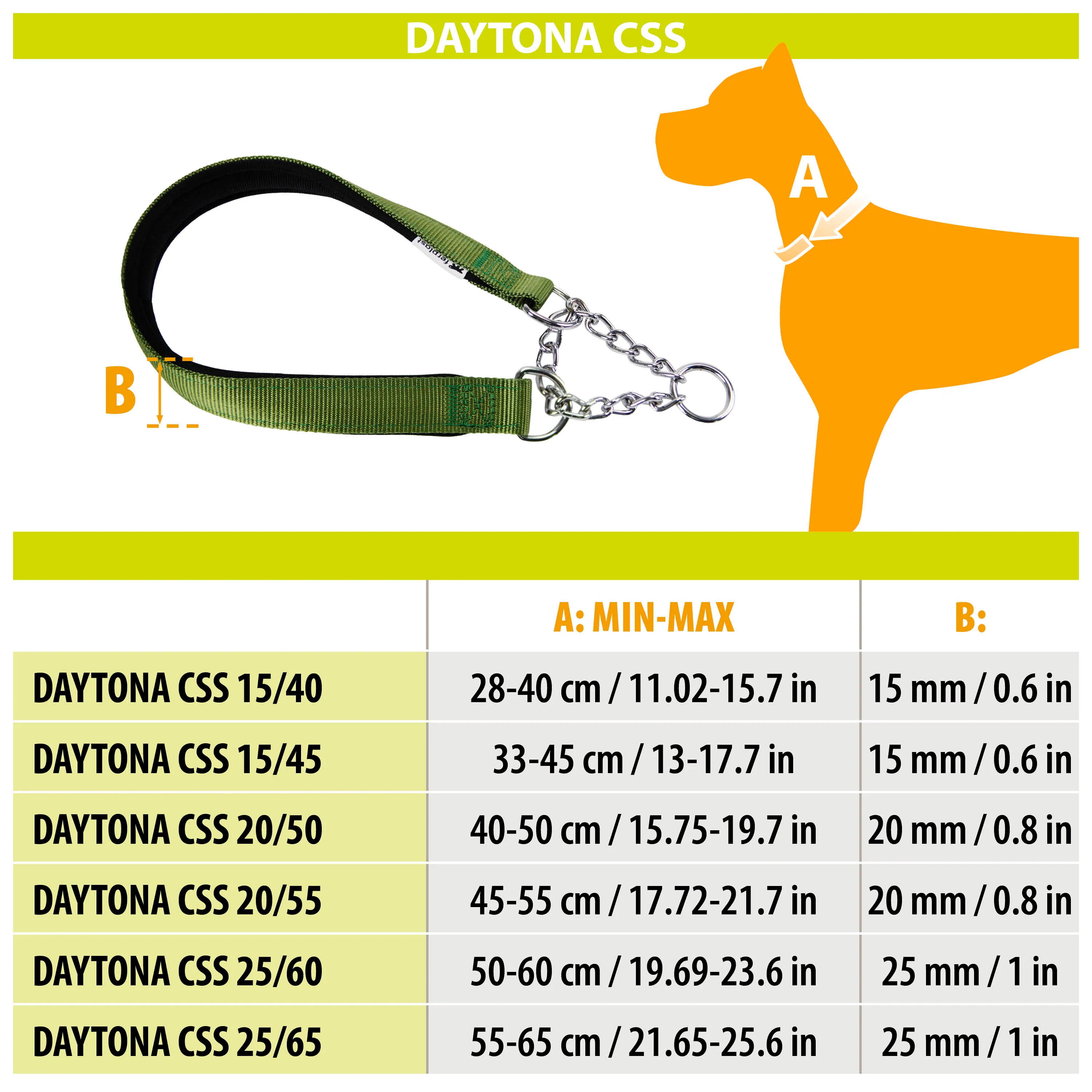DAYTONA CSS - Image 2
