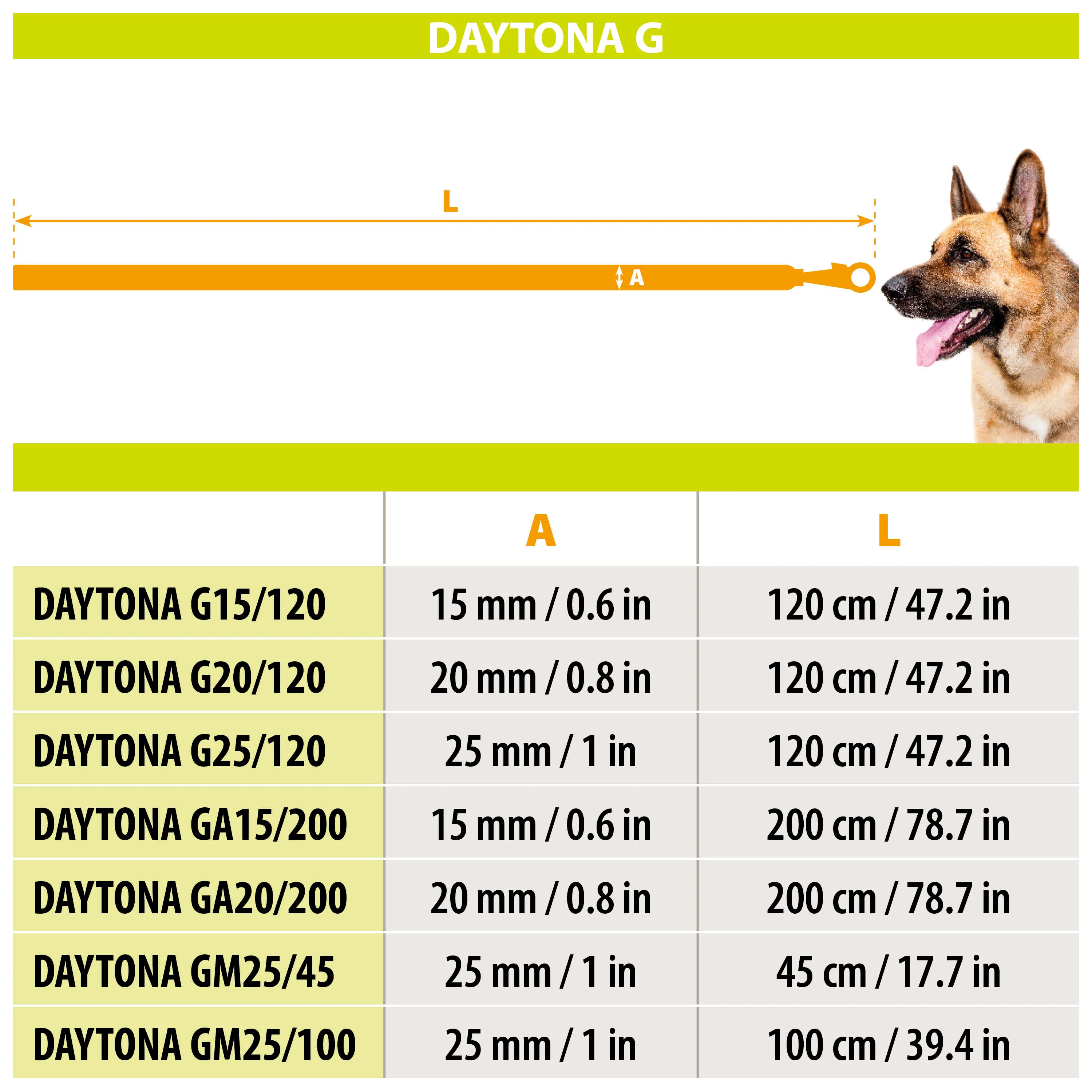 DAYTONA GM 25/100 - Image 20