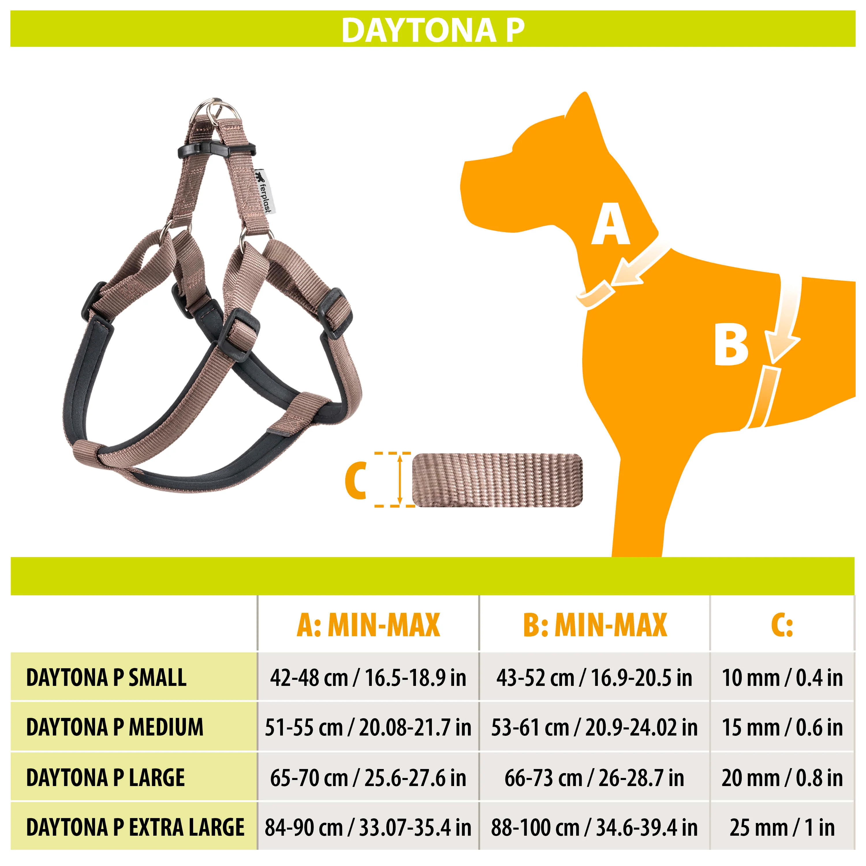 DAYTONA P - Image 25
