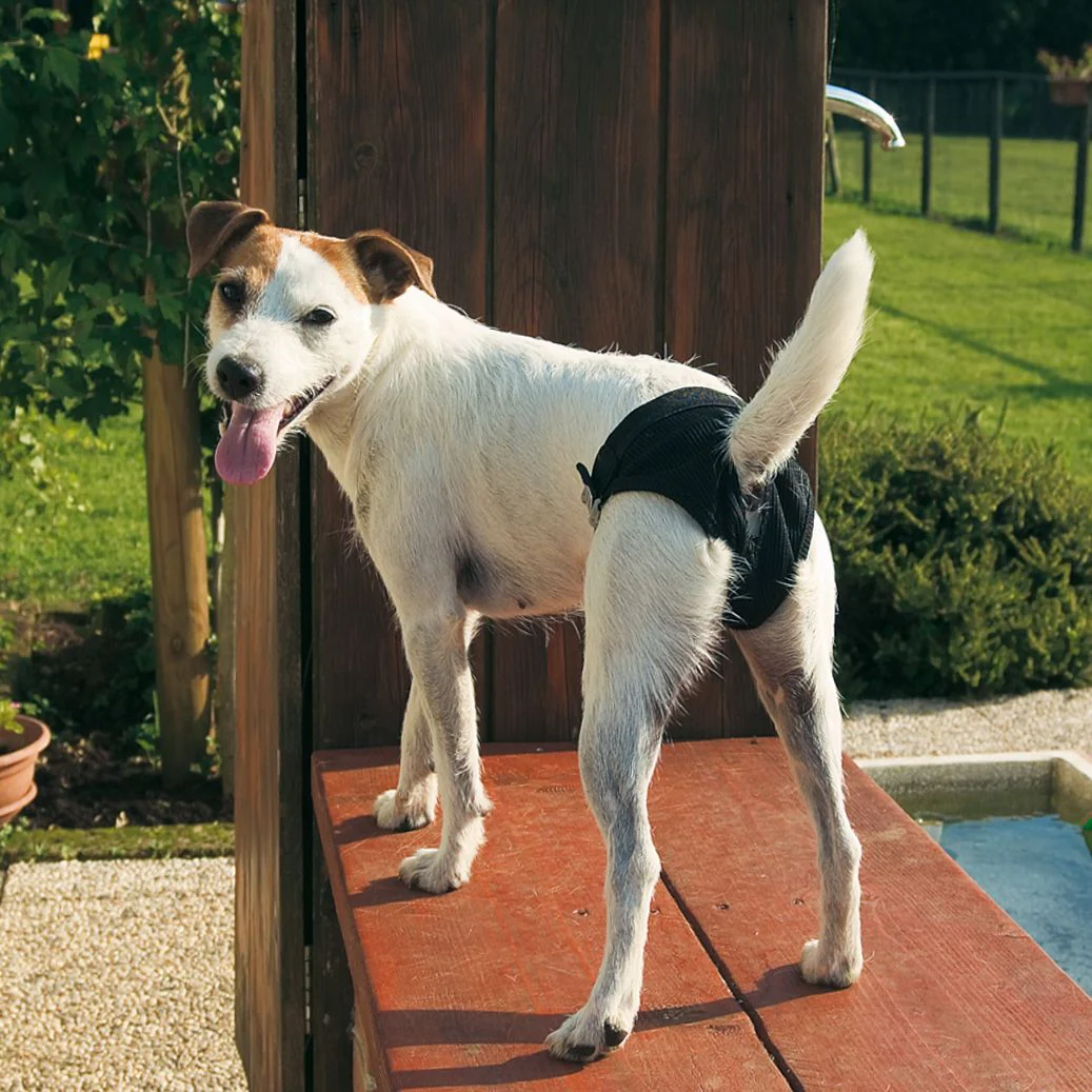 DOG PADS - Image 3