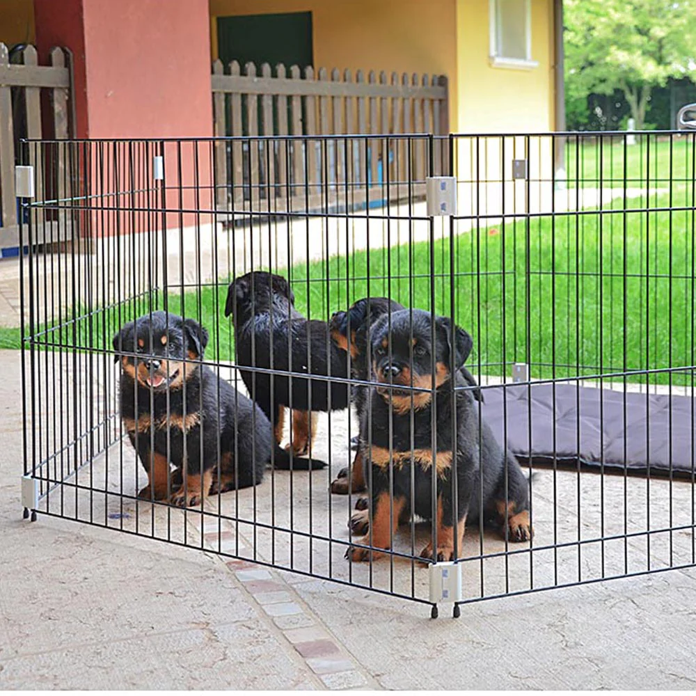 DOG TRAINING - Image 4