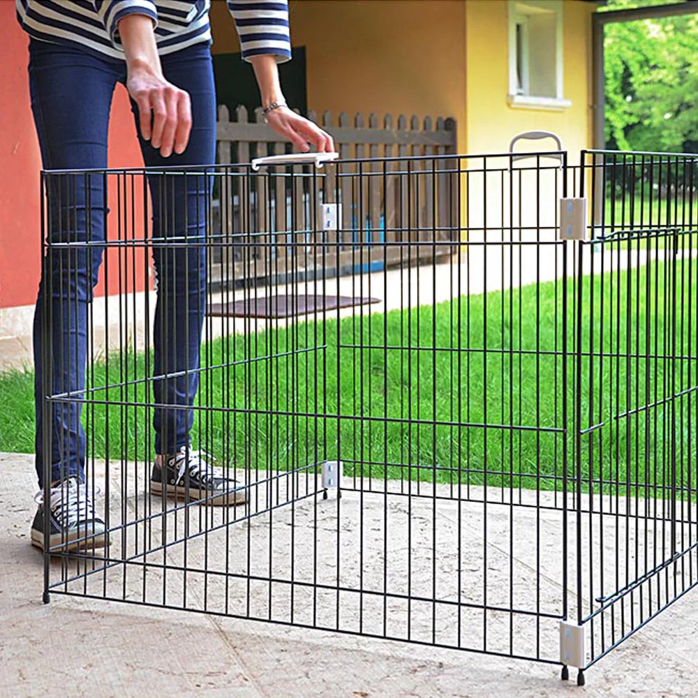 DOG TRAINING - Image 9