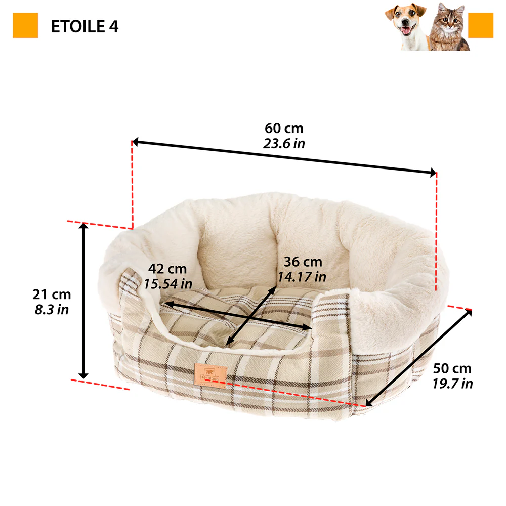 ETOILE - Image 5