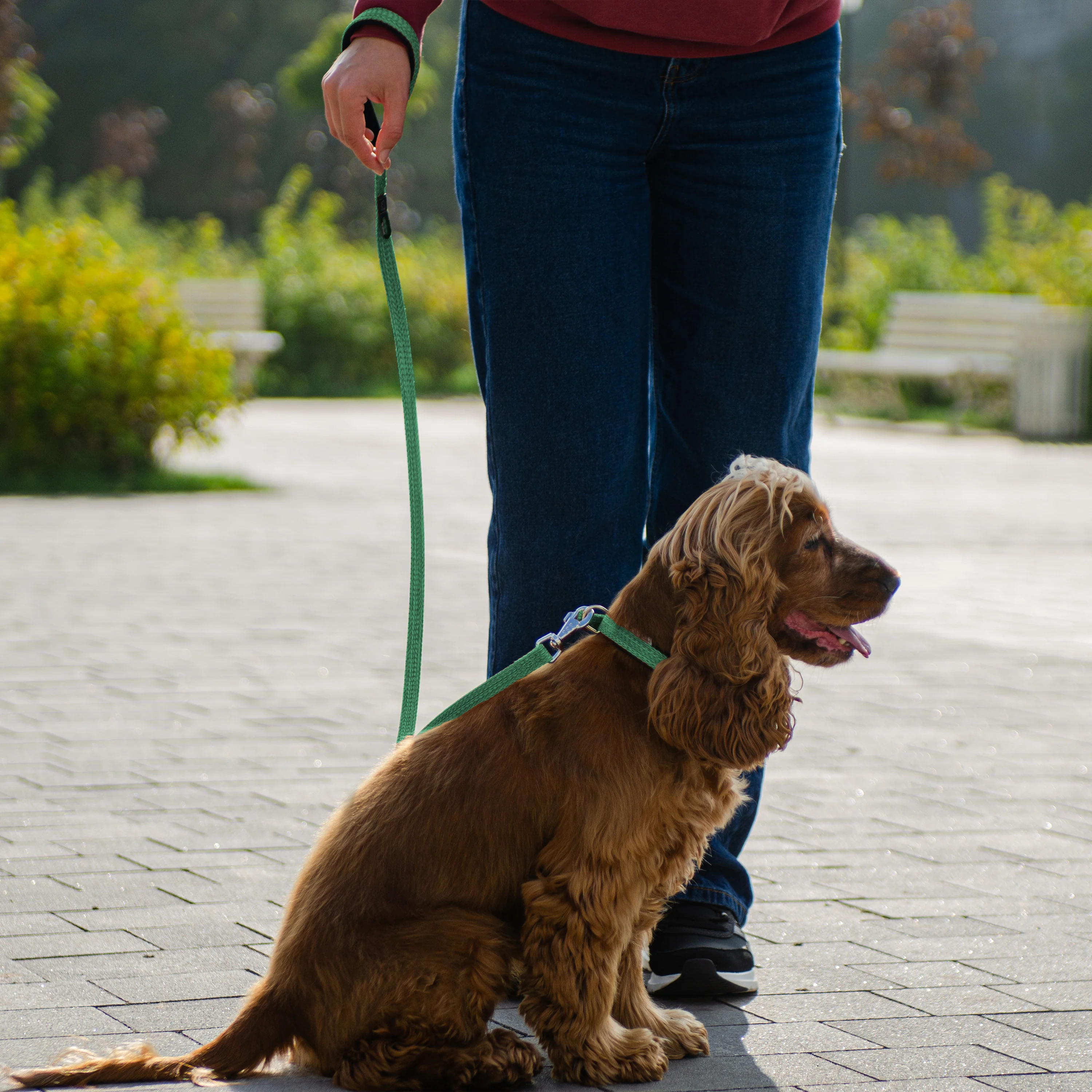 GREENER SOFT G - Image 3