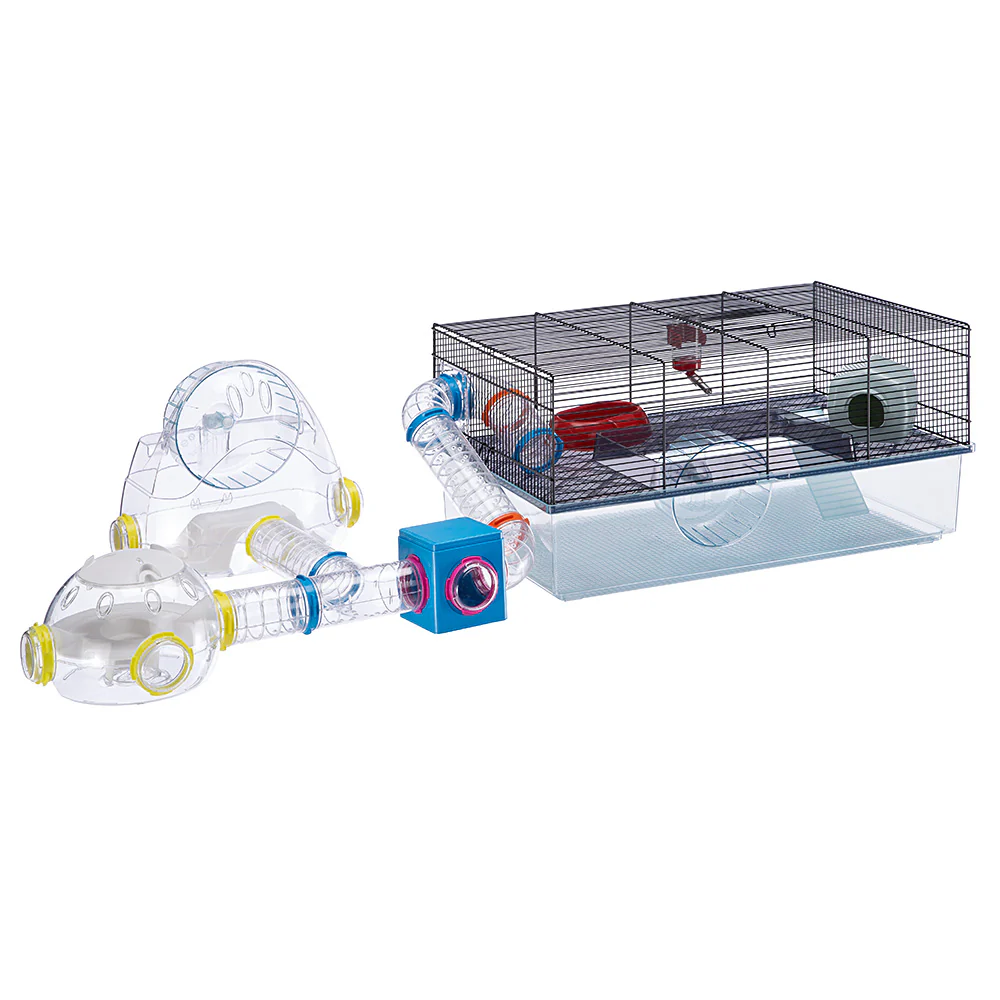 GYM - Image 6