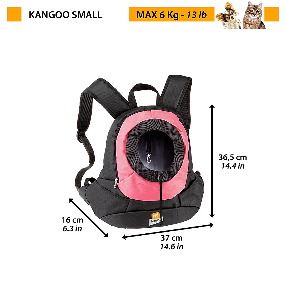 KANGOO - Image 2