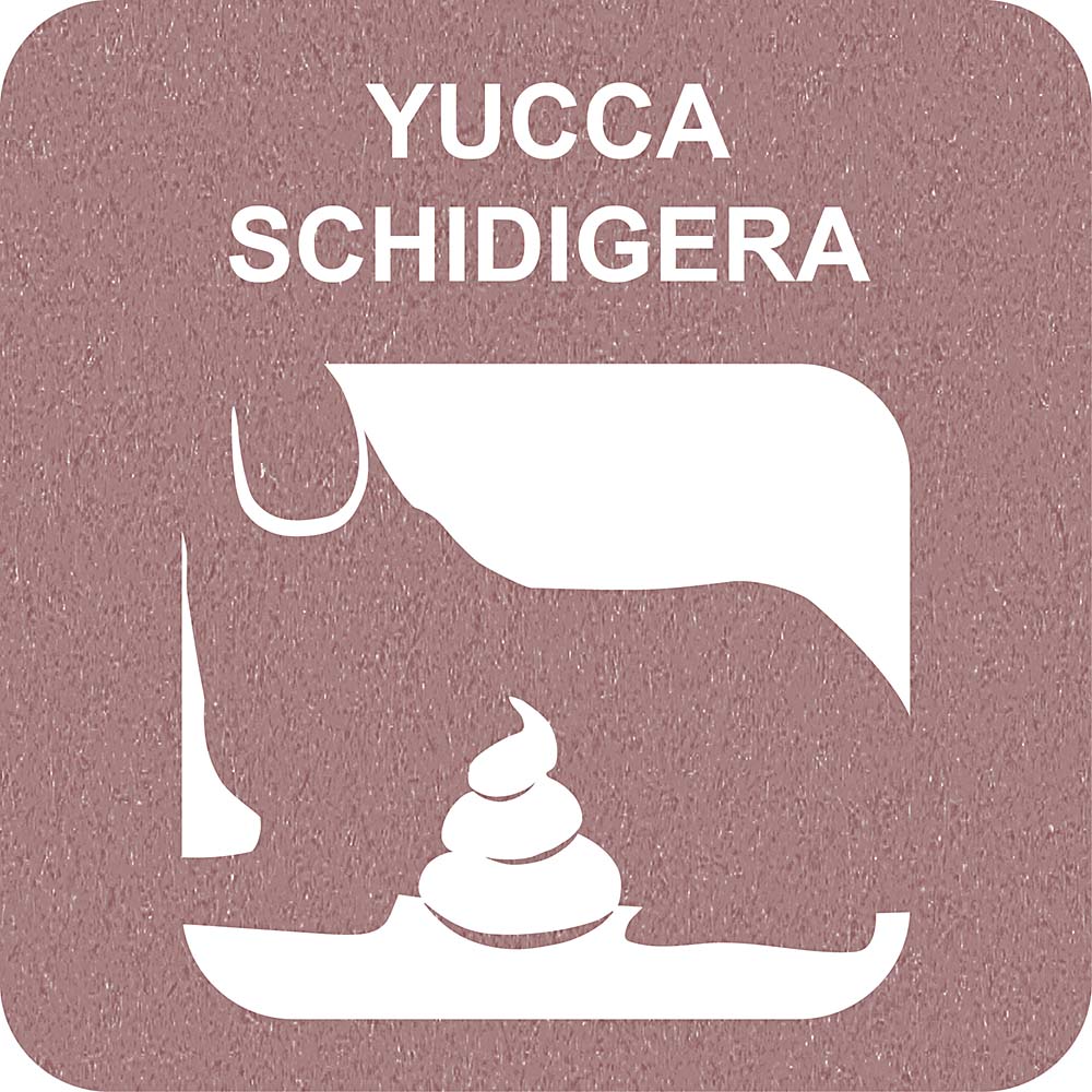 100% SNACK STICKS - FUSILLI YUCCA - Image 3