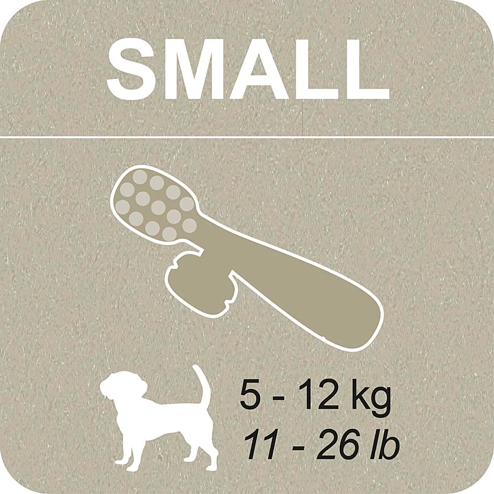 100% SNACK FILLABLE -  TOOTHBRUSH ASCOPHILLUM - Image 6