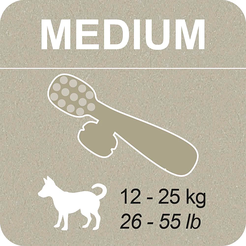 100% SNACK FILLABLE -  TOOTHBRUSH ASCOPHILLUM - Image 9