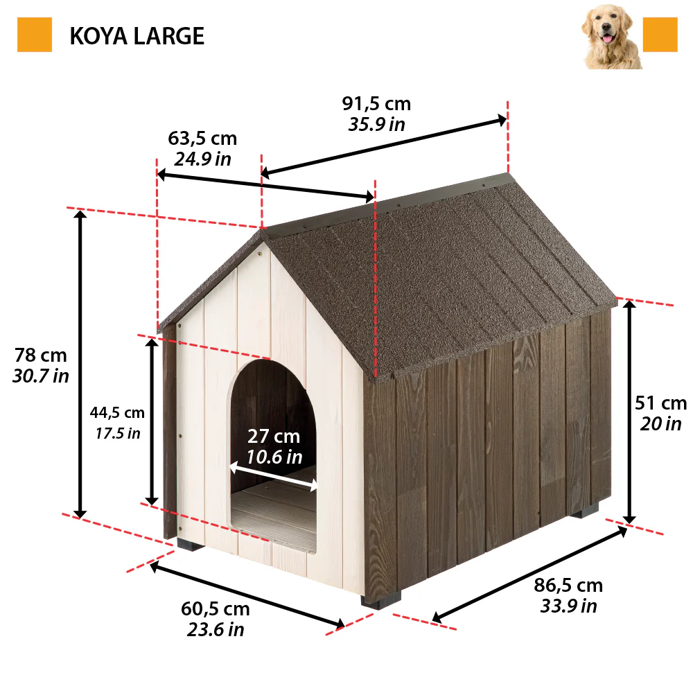 KOYA - Image 2