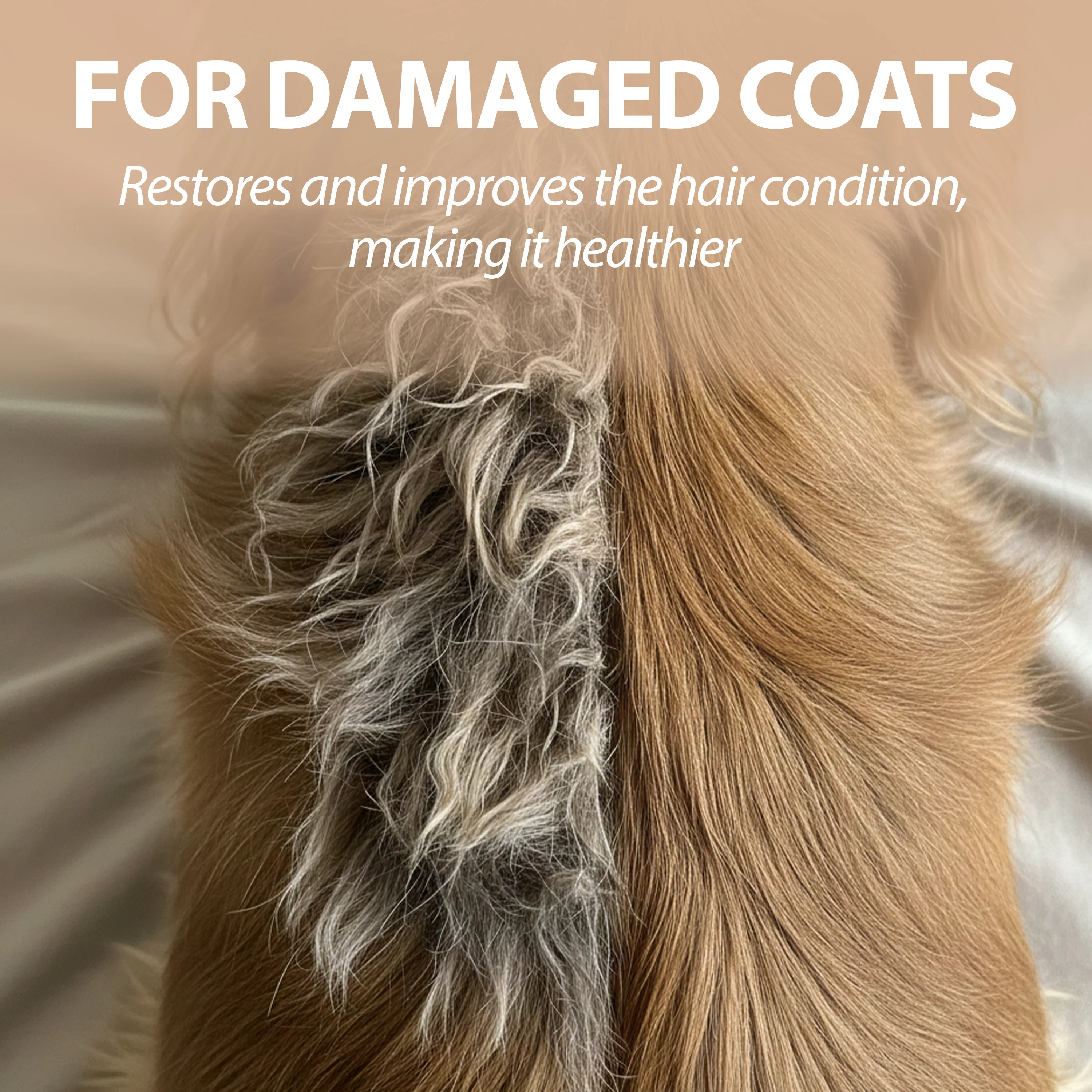NATURÉ DOG SHAMPOO WITH GREEN CLAY - Image 3