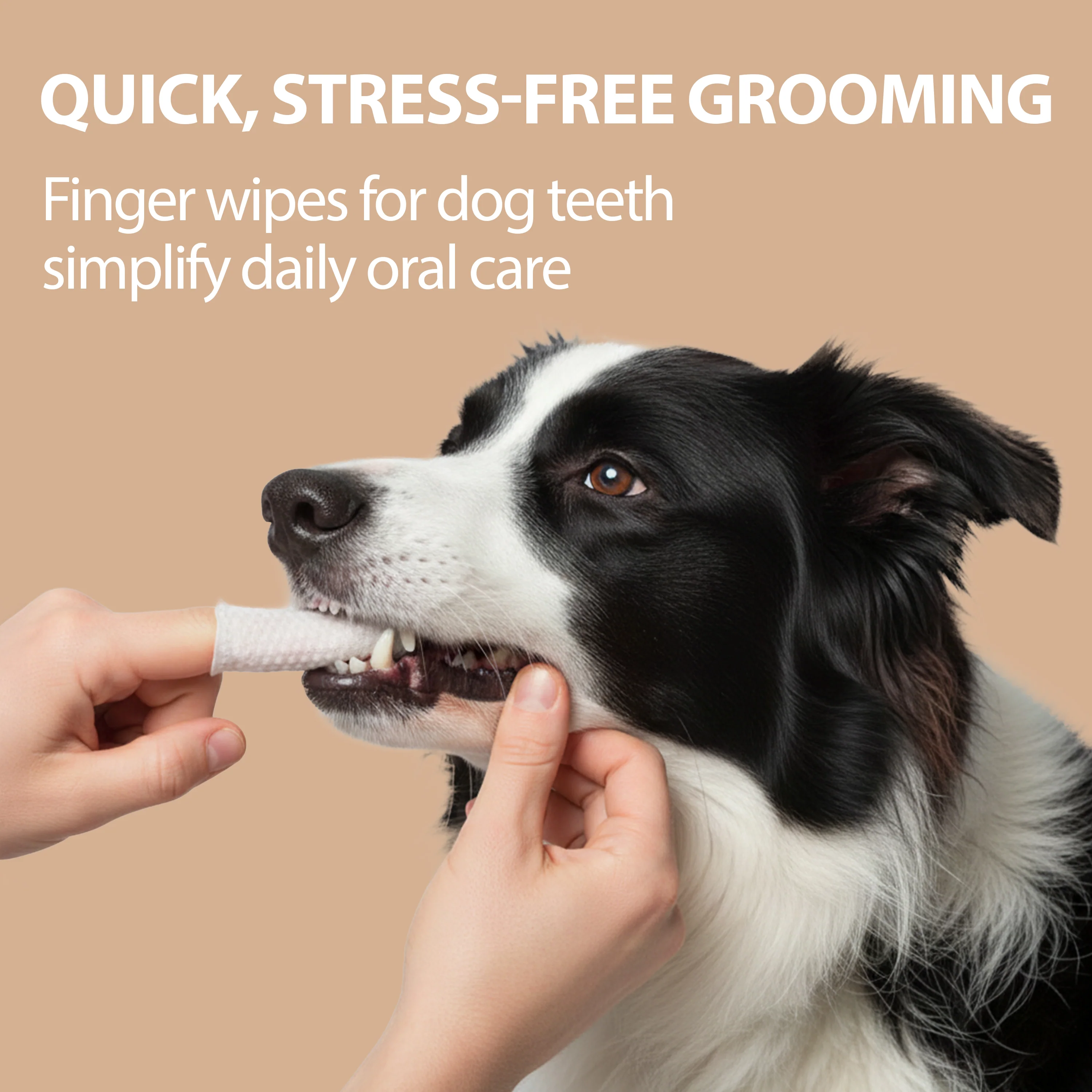 DISPOSABLE DENTAL  FINGER PADS FOR DOGS AND CATS NATURÉ (x50) - Image 4