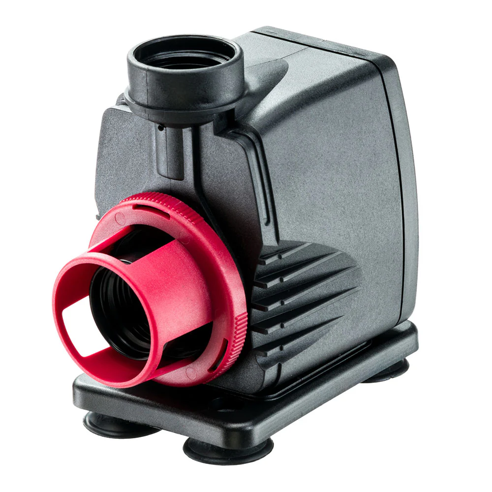 SELTZ L - Image 2