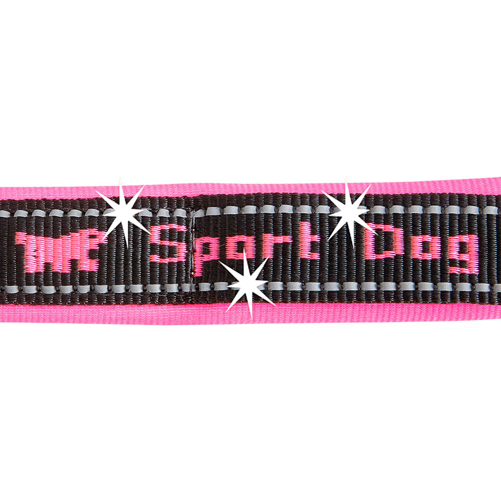SPORT DOG P - Image 6