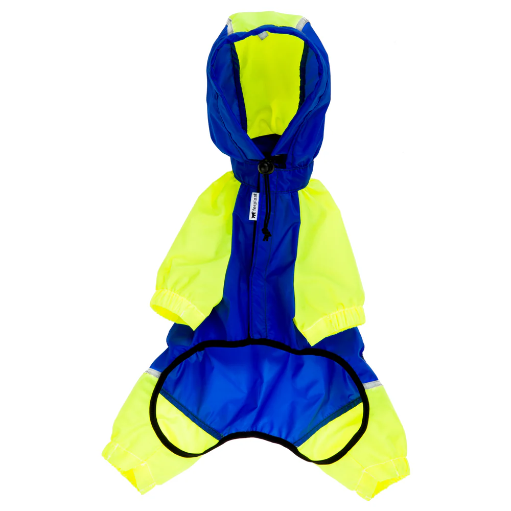 SPORTING BLUE - Image 4
