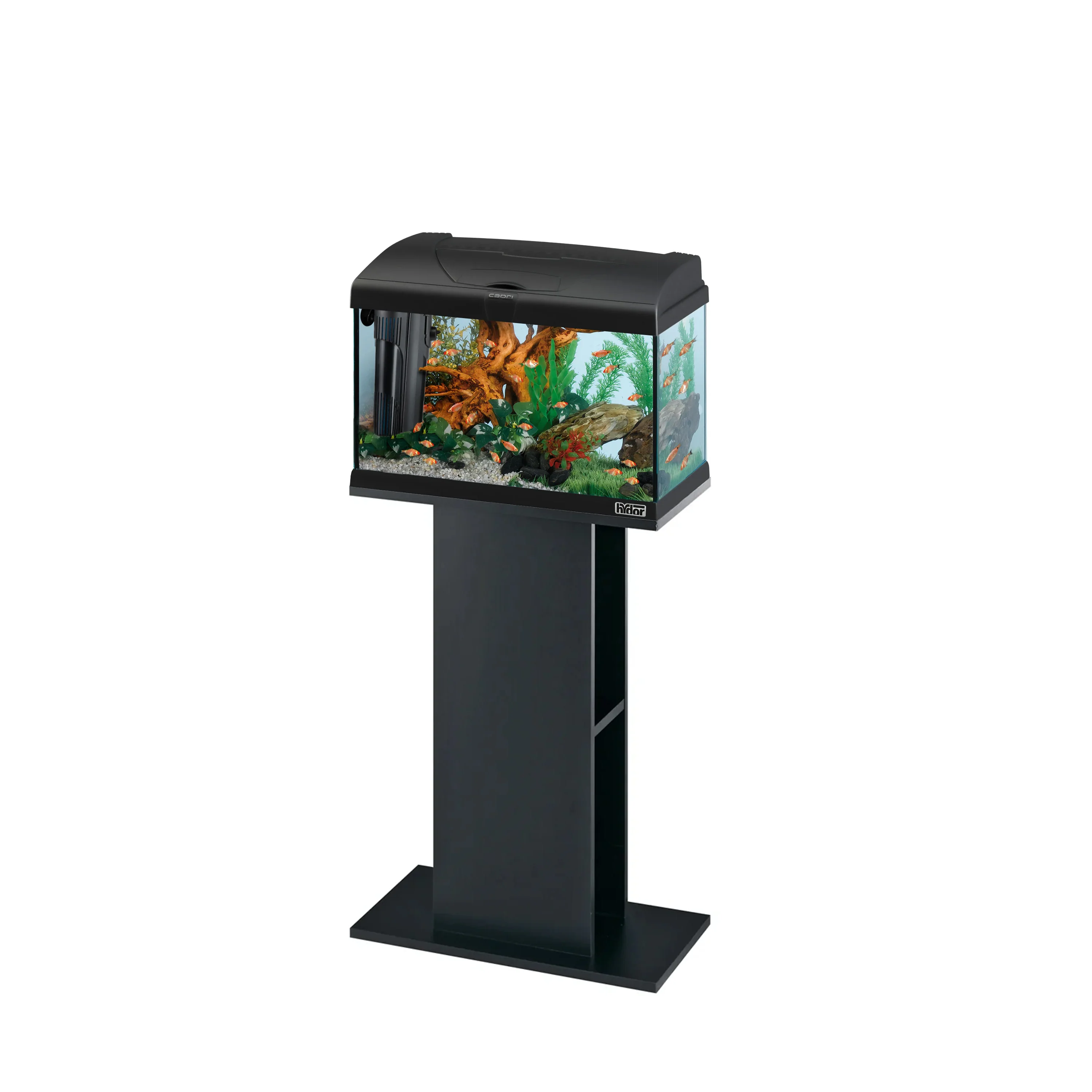 STAND 50 - Image 3