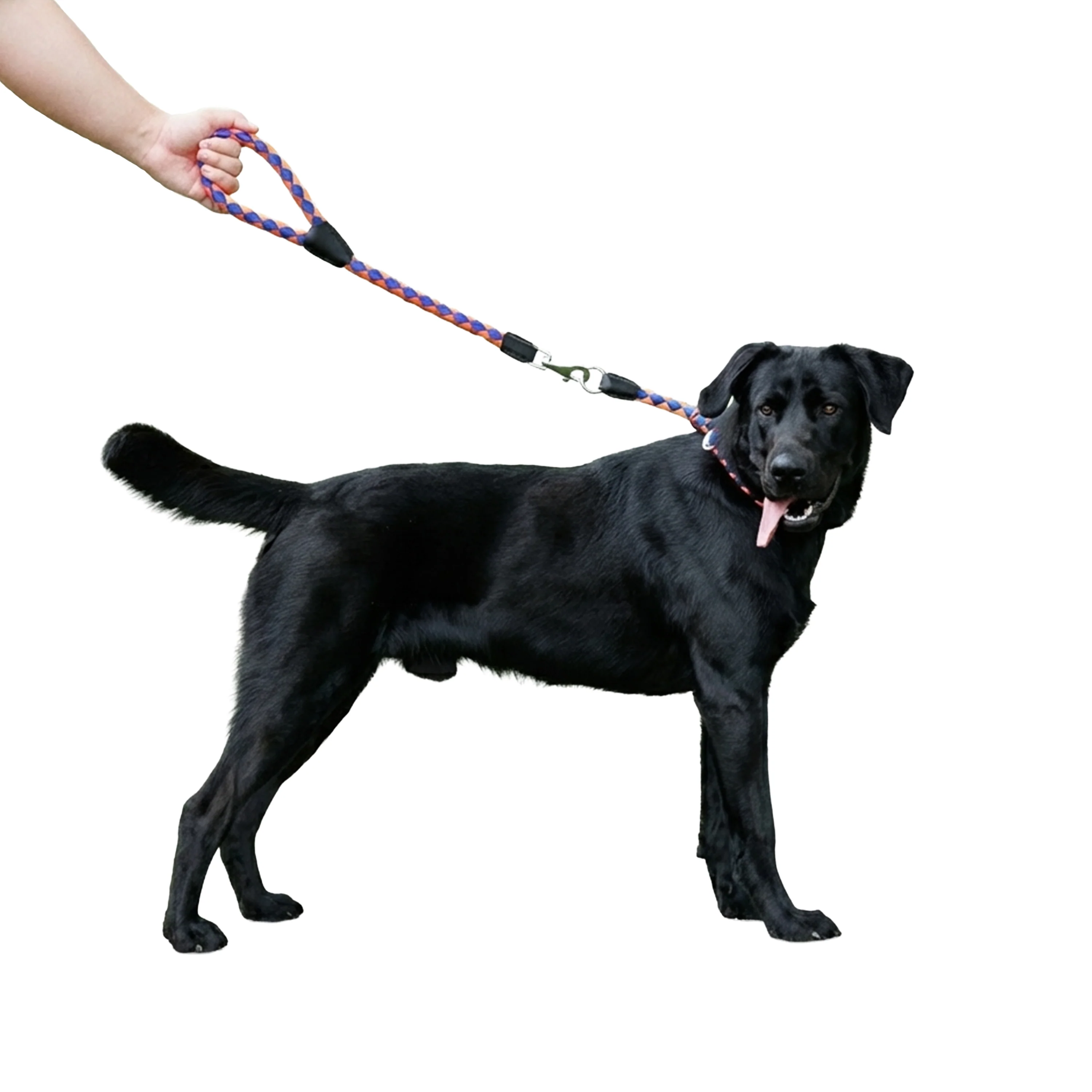TWIST GM - Image 9