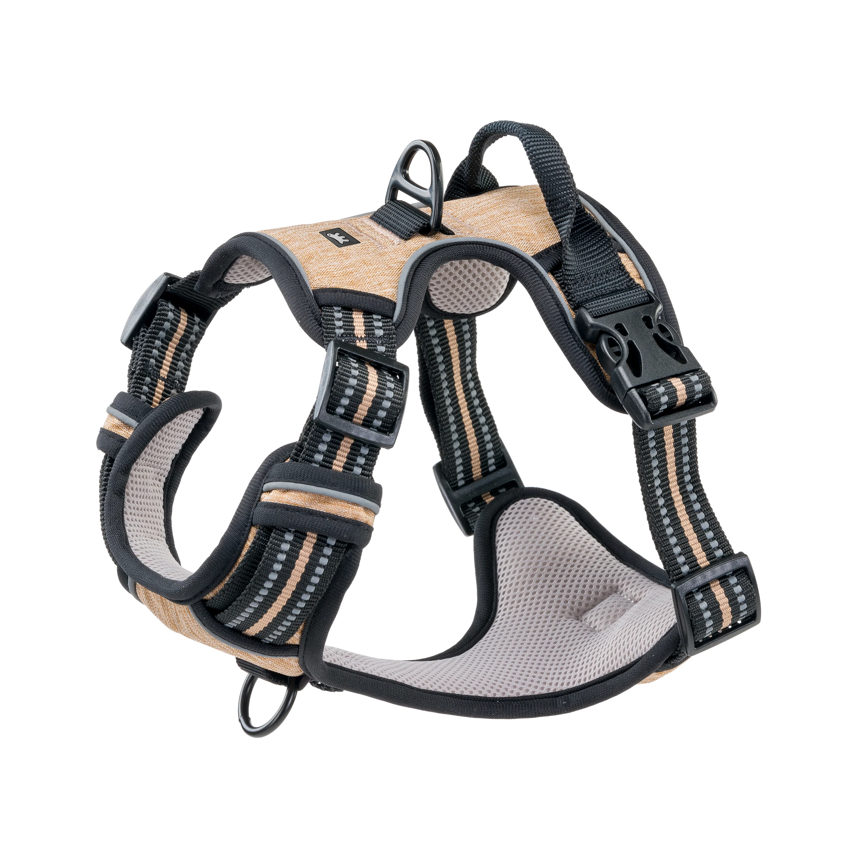 VIGOR - Image 12